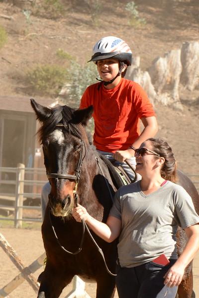 Retired Grand Prix show jumper and dressage champion Bert. (Square Peg Foundation/Robyn Peters Photography )